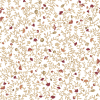 Elizabeth  Pattern - Autumn Colourway