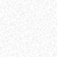 Cecilia  Pattern - Winter Colourway