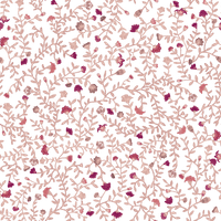 Elizabeth  Pattern - Summer Colourway